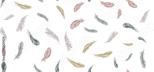 Set of bird feathers. Hand drawn sketch style.