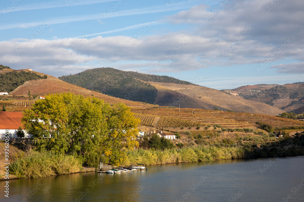 Autumn in Douro Valley, Portugal