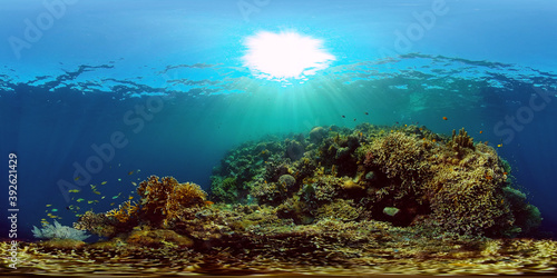 Reef underwater tropical coral garden. Underwater sea fish. Philippines. 360 panorama VR.
