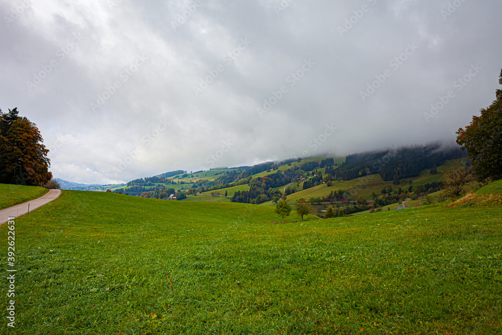 Autumn landscape of mountains and forest in fog