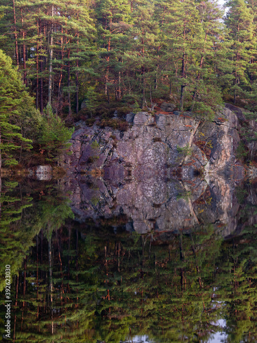 Coniferous trees and rock reflecting in a calm forest lake. It is November in Sweden and shot in portrait orientation