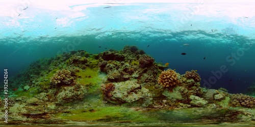 Coral reef underwater with tropical fish. Hard and soft corals, underwater landscape. Tropical underwater sea fish. Philippines. Virtual Reality 360. © Alex Traveler