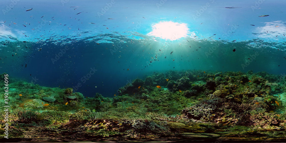 Tropical coral reef seascape with fishes, hard and soft corals. 360 panorama VR