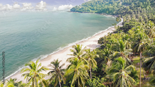 tropical palm tree and sea aerial view