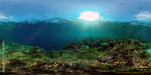 Tropical coral reef seascape with fishes, hard and soft corals. 360 panorama VR © Alex Traveler