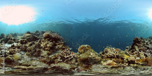 Underwater world with coral reef and tropical fishes. Travel vacation concept 360 panorama VR
