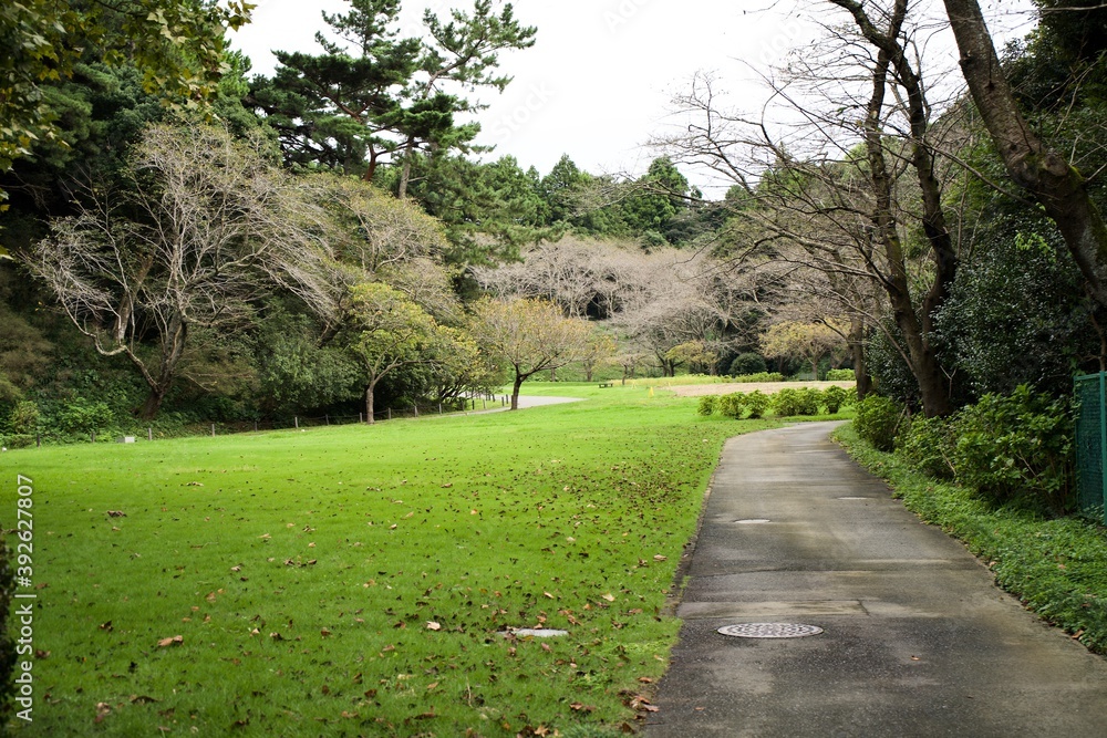 The view of wide garden in Japan.