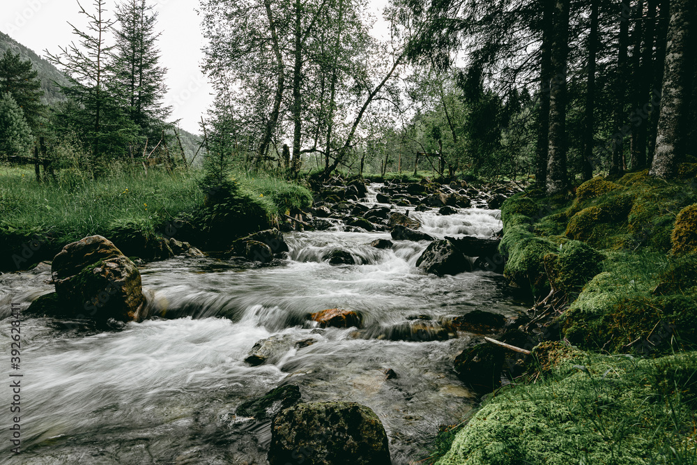 Stream of a creek with cascades