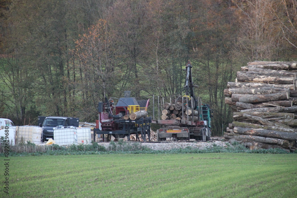 Fototapeta premium Usine de l'industrie du bois de chauffage