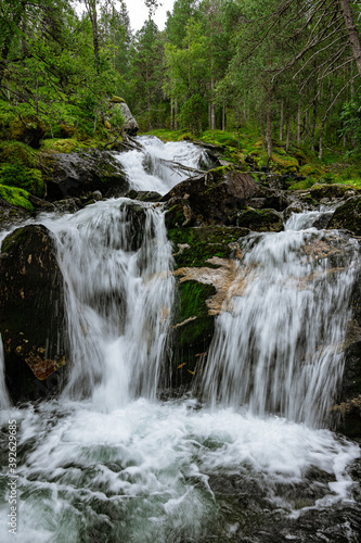 Soft waterfall in a green forest