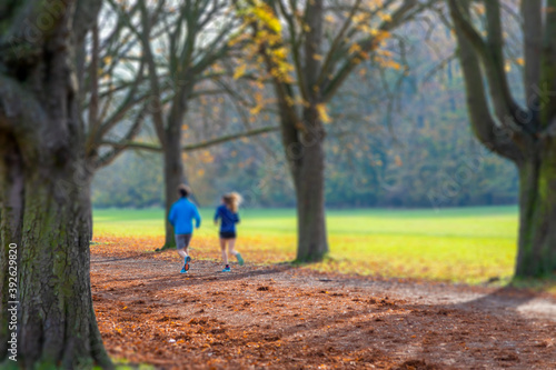 a couple jogging trough a parkway, blurred shot with tilt-shift effect, autumn colors