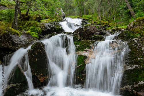 Fototapeta Naklejka Na Ścianę i Meble -  Soft waterfall in a green forest