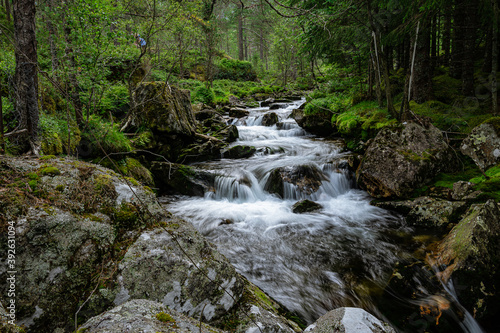 Stream of a creek with cascades