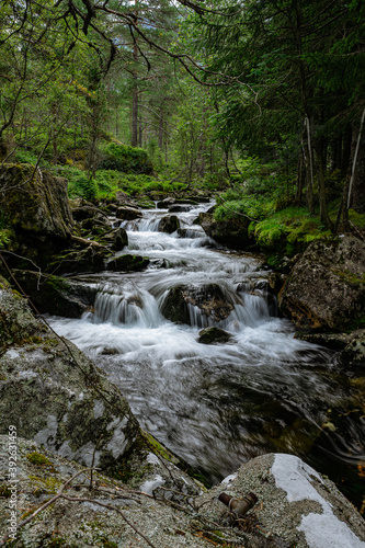 Fototapeta Naklejka Na Ścianę i Meble -  Stream of a creek with cascades