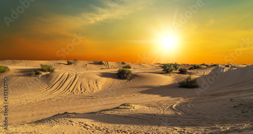 desert safari tire prints in sand.