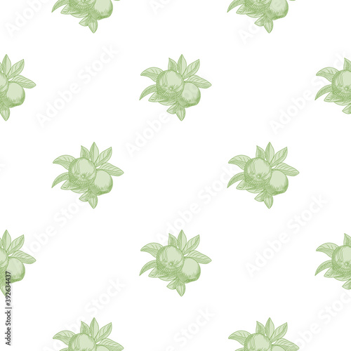 Green apples seamless pattern on white background. Vintage botanical wallpaper.