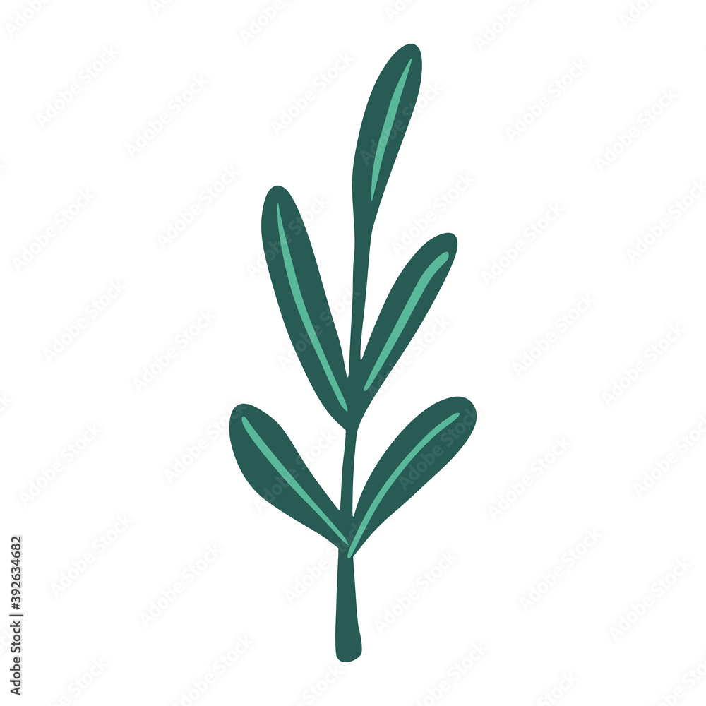 Foliage on twigs isolated on white background. Scandinavian botanical green color sketch in hand drawn. Foliage on twigs isolated on white background. Scandinavian botanical green color sketch in hand drawn.