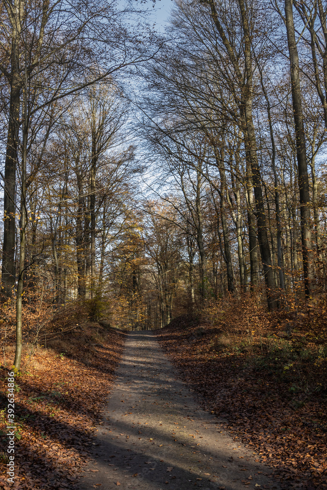 Wildlife sanctuary Hahnheide - in the forest Wildlife sanctuary Hahnheide - in the forest