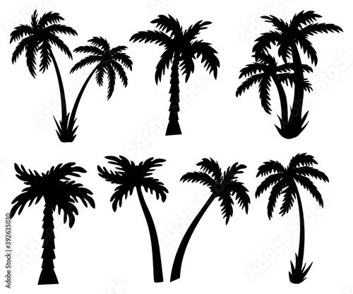 palm. Vector illustration. silhouette