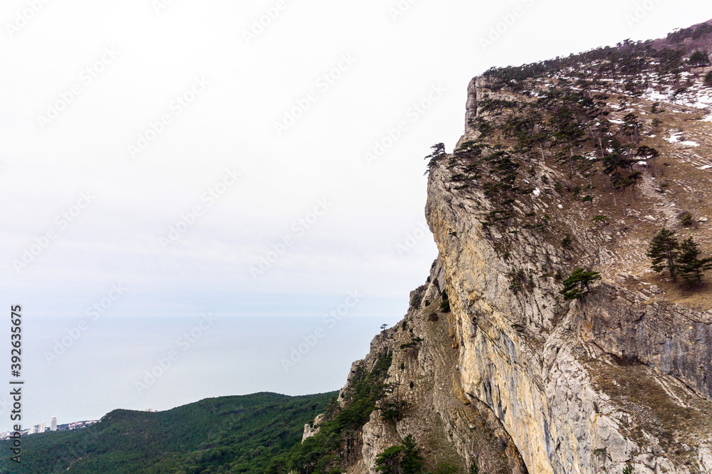 pine trees on top of the cliff