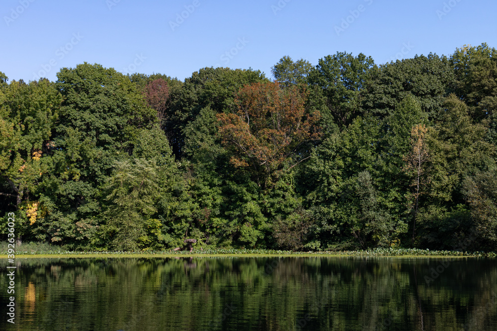 Pond at Prospect Park in Brooklyn New York during Summer with Green Trees and Plants