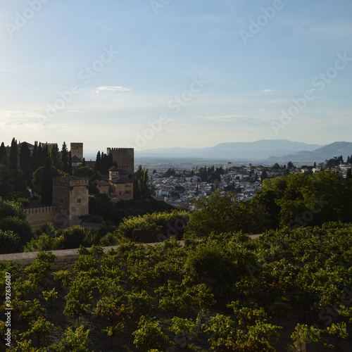 Generalife Gardens with View onto the Alhambra and Albaycin, Granada, Spain