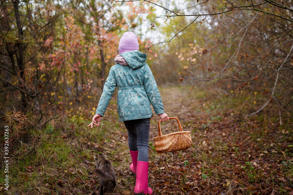 Little girl in pink resin boots with basket of apples walking in autumn forest with kitten behind Little girl in pink resin boots with basket of apples walking in autumn forest with kitten behind