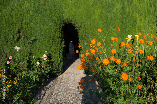 Generalife Gardens Adjacent to the Alhambra in Granada, Spain