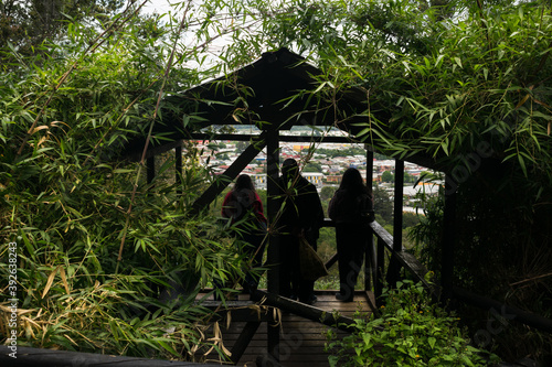 person in the jungle