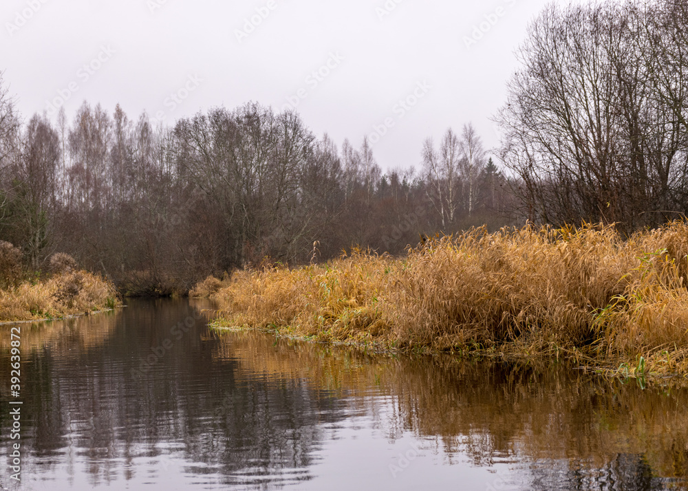 autumn landscape gray and cloudy day, river bank with bare trees and bushes, bank reflection in river water autumn landscape gray and cloudy day, river bank with bare trees and bushes, bank reflection in river water