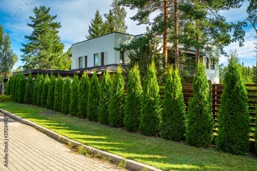 Modern exterior of private house. Cottage between huge trees. Green thujas near fence. photo