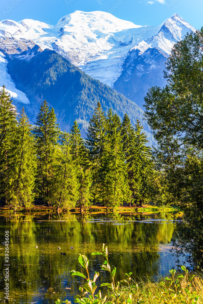  The lake reflected the evergreen spruce
