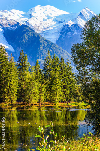  The lake reflected the evergreen spruce © Kushnirov Avraham