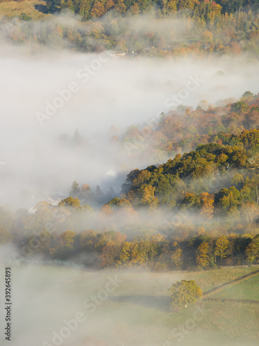 Forests below Latrigg appearing from the fog.