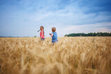 Kids running in wheat field, live life to the fullest, freedom, childhood and happiness