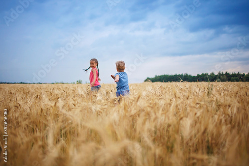 Kids running in wheat field  live life to the fullest  freedom  childhood and happiness