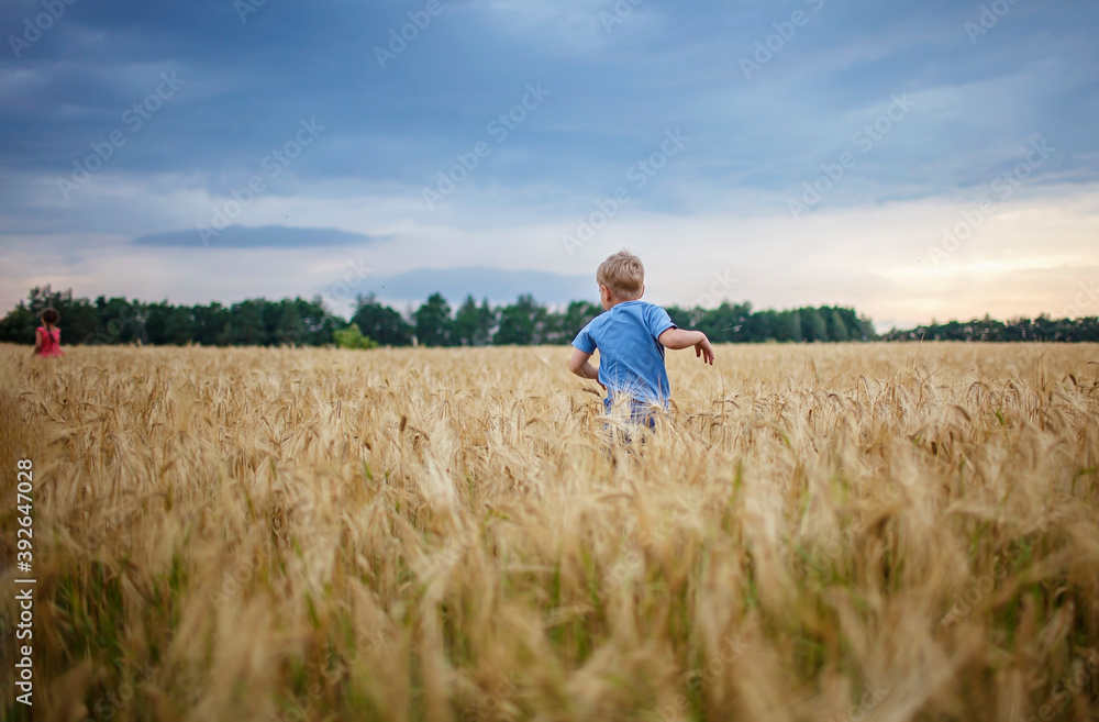 Kids running in wheat field, live life to the fullest, freedom, childhood and happiness