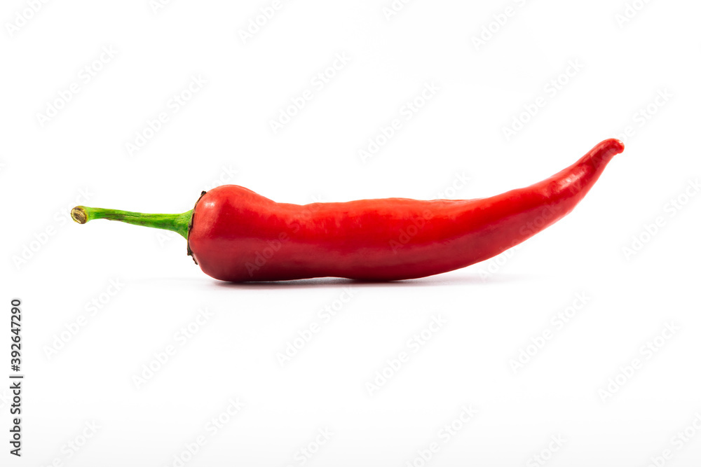 Red hot chili pepper perfect macro photo on white isolated background