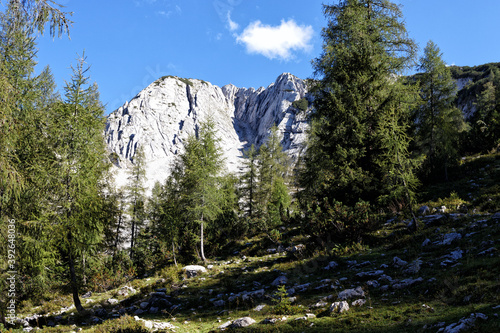 Blick auf die Seebergspitze im Karwendel, Alpen, Tirol, Österreich photo