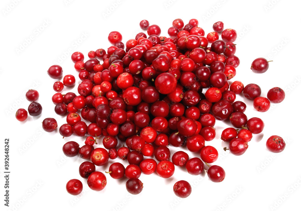 Small Cranberries on white Background Isolated Small Cranberries on white Background Isolated