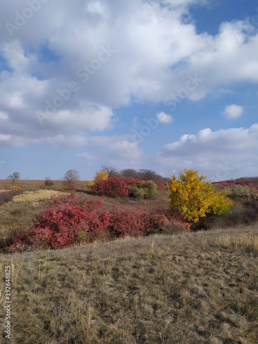 autumn in the mountains