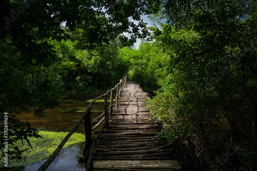 Old wooden bridge over the river in the forest.
