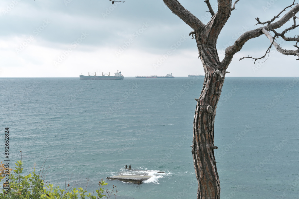cargo ships on a horizon of ocean. quiet ocean and dry tree on an foreground. transortation and navy transport concept.