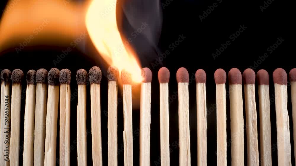 macro view match sticks in a line burning, amazing 4k footage black background macro view match sticks in a line burning, amazing 4k footage black background