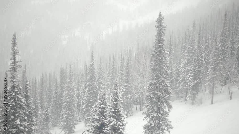 custom made wallpaper toronto digitalThe cabins of the modern lift move along metal cables along the snow-covered mountain slope of the popular ski resort on a winter day.