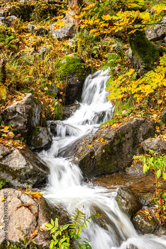 Todtnauer Wasserfall im Herbst