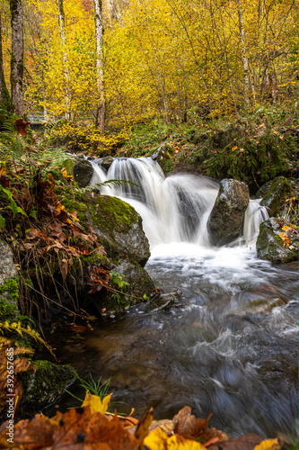 Fototapeta Naklejka Na Ścianę i Meble -  Todtnauer Wasserfall im Herbst