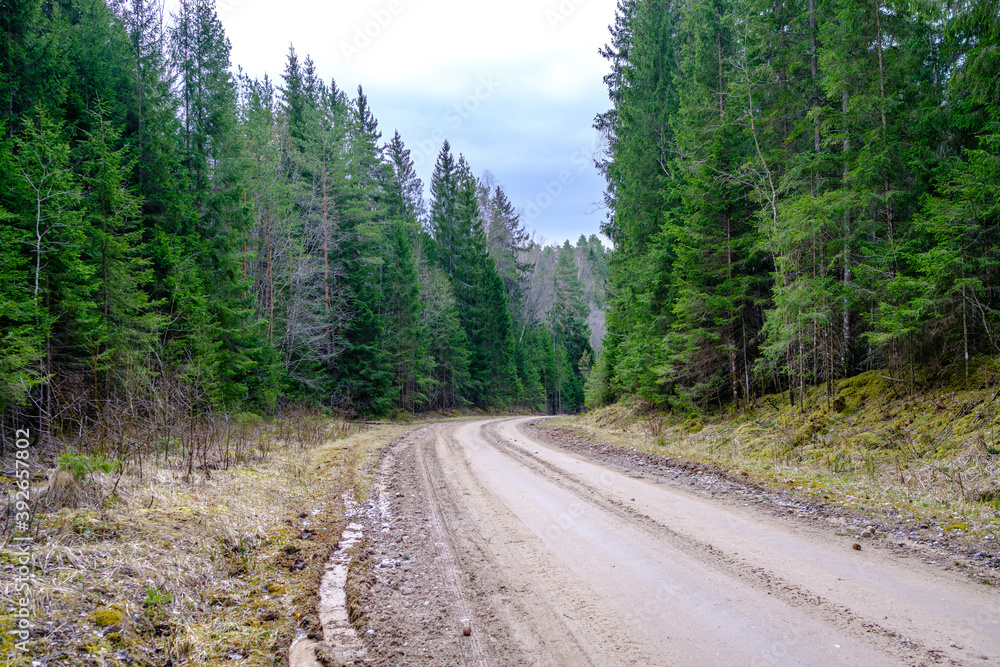countryside dirt road gravel in perspective in summer countryside dirt road gravel in perspective in summer