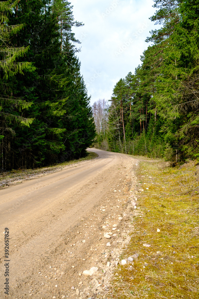 countryside dirt road gravel in perspective in summer