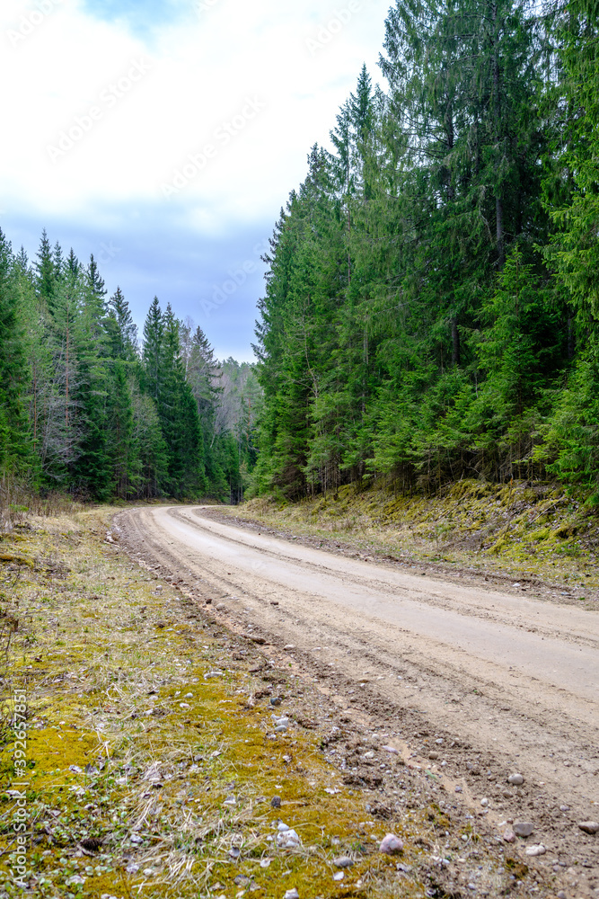 Fototapeta premium countryside dirt road gravel in perspective in summer
